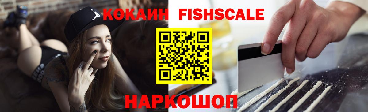 COCAIN Эквадор Богданович