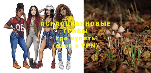 тгк Алзамай