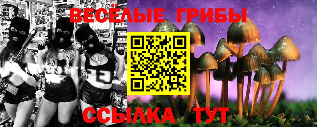 Псилоцибиновые грибы Cubensis  Вход с VPN  Богданович 